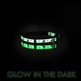 img 1 attached to 🐱 Pawtitas Glow in The Dark Cat Collar: Safety Buckle, Removable Bell, Ideal for Kittens and Cats