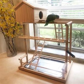 img 3 attached to 🐦 H iCaptain Bird Playground Parakeet Play Stand Cockatiel Gym with Nesting Box: Ultimate Fun and Comfort for Your Feathered Friends