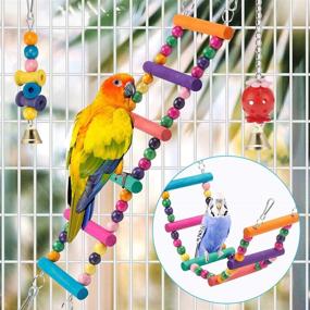 img 3 attached to Colorful Bird Parakeet Toys: Swing, Chew, Climb, & Play – Ideal for Budgerigar, Parakeet, Conure, Cockatiel & More!