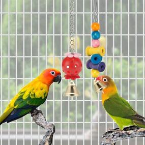 img 1 attached to Colorful Bird Parakeet Toys: Swing, Chew, Climb, & Play – Ideal for Budgerigar, Parakeet, Conure, Cockatiel & More!