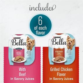 img 2 attached to Purina Bella Grilled Chicken Flavors