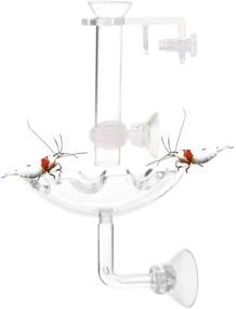 img 4 attached to 🦐 JZMYXA Shrimp Feeding Tube and Dish for Shrimp Fish - Mini Size, Highly Transparent Acrylic Material - Optimal for SEO