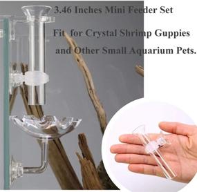img 1 attached to 🦐 JZMYXA Shrimp Feeding Tube and Dish for Shrimp Fish - Mini Size, Highly Transparent Acrylic Material - Optimal for SEO