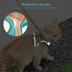 img 1 attached to 🐱 GeeRic Cat Harness and Leash: Escape-Proof, Comfortable Step-in Vest with Reflective Strips in Green