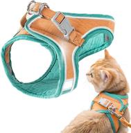 🐱 geeric cat harness and leash: escape-proof, comfortable step-in vest with reflective strips in green logo