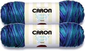 img 3 attached to Caron Simply Soft Bulk Buy Paints 100% Acrylic Yarn (2-Pack) ~ 5 oz. Skeins (Oceana) - Vibrant Ocean-themed Craft Yarn in a Convenient Value Bundle
