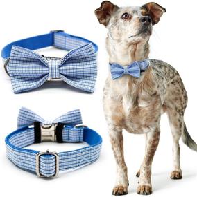 img 2 attached to Collar Bowtie Attach Collars Different