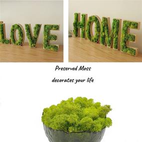 img 2 attached to 🌿 Moss Preserved: Authentic Green Moss for Craft Projects, Wall and Table Decor, Weddings, and Terrariums – Chartreuse