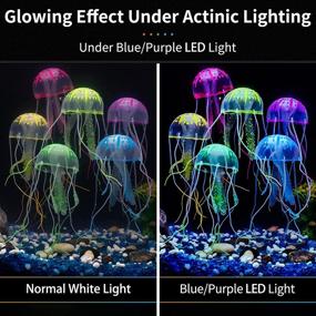 img 1 attached to 🐠 Vibrant Glowing Jellyfish Ornaments for Aquarium Fish Tanks - Uniclife 6 Pcs Decoration