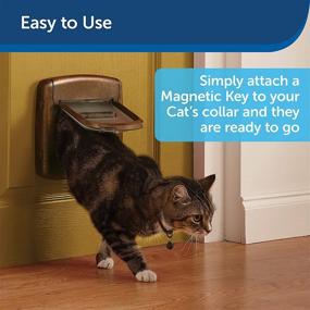 img 1 attached to PetSafe Staywell Magnetic Collar Key 2 Pack: Selective Entry, Convenient Microchip Alternative for Pets