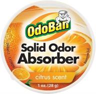 одорант odoban citrus solid для поглощения запахов логотип