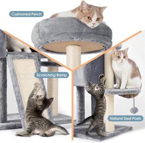 img 1 attached to 🐱 TSCOMON 59” Multi-Level Cat Tree with Plush Perch, 2 Spacious Cat Condos, Scratching Posts, Hammock Basket, Hanging Toys, and Resting House - Ideal Indoor Cat Tower for Fun & Relaxation