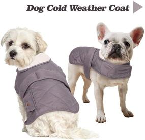 img 2 attached to 🐶 Winter Dog Coat with Fleece Lining, Windproof & Waterproof Dog Jacket, Adjustable Warm Pet Snowsuit Clothing for Small, Medium, and Large Breed Dogs - Suitable for Girls and Boys