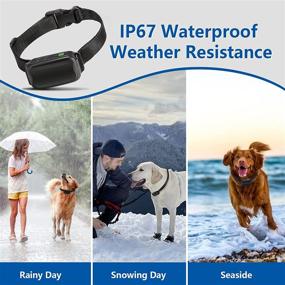 img 1 attached to 🐕 Sorferina Rechargeable Dog Bark Collar - Adjustable Sensitivity & Waterproof Bark Control Collar for Small, Medium & Large Dogs 8-150lbs - Anti Barking Collar - No Barking Solution