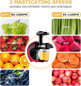 img 2 attached to 🥤 FRESKO Slow Juicer Machines: Powerful Masticating Juicer Extractor for Nutrient-Packed Cold Press Juices – 2-Speed Modes, Reverse Function &amp; Easy Cleaning – Ideal for Fruits and Vegetables