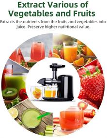 img 1 attached to 🍎 RACCOON Slow Masticating Juicer - Cold Press Extractor with Reverse Function, Quiet Motor, Easy to Clean, BPA-Free, Juice Recipes for Vegetables and Fruits - Classic Black