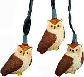 img 1 attached to Whimsical Illumination: Kurt Adler 10-Light Brown Owl Light Set