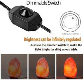 img 4 attached to 🔌 Himalayan Salt Lamp Cords with Dimmer Switch Replacement Set Includes 2 Packs of Cord with 6 Bulbs 15W for Salt Lamps