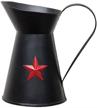 bcd black pitcher star meaures logo