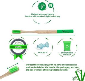 img 2 attached to 🌱 Vaireo Bamboo Eco-Friendly Wooden Soft Toothbrushes – Natural Wood Handle, Vegan & Compostable Bristles, Biodegradable, Recyclable, Sustainable Oral Care Brushes (Adult Colorful 6 Pack)