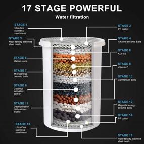 img 2 attached to PECHAM High Output Filtered Shower Head Water Filter Set - 17 Stage Shower Filter for Hard Water with 2 Cartridges