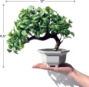 img 3 attached to 🌱 Yoerm Artificial Bonsai Tree for Home Office Desk Wall Book Shelf Decor Room Decor - Fake Plants Greenery
