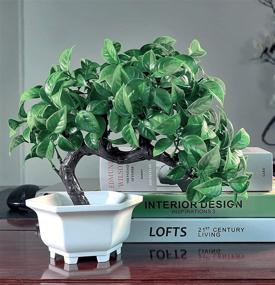 img 2 attached to 🌱 Yoerm Artificial Bonsai Tree for Home Office Desk Wall Book Shelf Decor Room Decor - Fake Plants Greenery