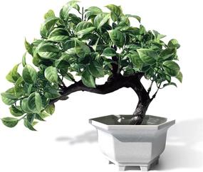 img 4 attached to 🌱 Yoerm Artificial Bonsai Tree for Home Office Desk Wall Book Shelf Decor Room Decor - Fake Plants Greenery