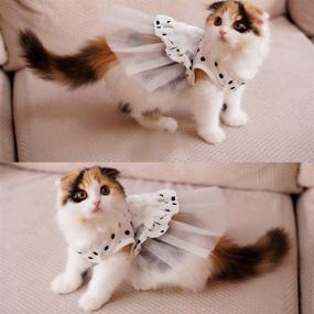 img 4 attached to 🐱 Pet Princess Floral Cat Party Bridal Wedding Dress Small Dog Flower Tutu Ball Gown Puppy Dot Skirt Doggy Photo Apparel Stretchy Clothes Mesh Costume for Spring Summer Wear - White, Medium