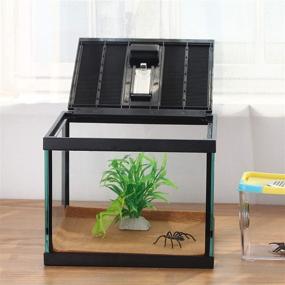 img 1 attached to 🦎 Exquisite Crapelles Reptile Amphibians Terrarium Glass Box: Waterproof, Ventilated, and Perfect for Small Pets - Offers Transparency and Clear Visibility Inside
