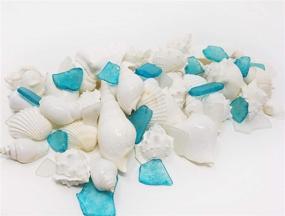 img 2 attached to Смешанные ракушки и морское стекло Tumbler Home: 1,5 фунта белых ракушек 🐚 голубое и белое морское стекло - Идеально для пляжного декора, рукоделия, свадеб и наполнения ваз.