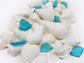 img 1 attached to Tumbler Home Mixed Seashells & Sea Glass: 1.5 lbs of White Shells, 🐚 Blue & White Sea Glass - Ideal for Beach Decor, Crafts, Weddings & Vase Filling