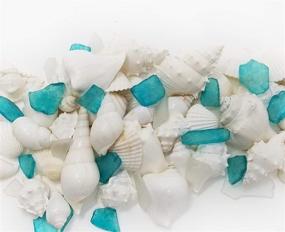 img 3 attached to Смешанные ракушки и морское стекло Tumbler Home: 1,5 фунта белых ракушек 🐚 голубое и белое морское стекло - Идеально для пляжного декора, рукоделия, свадеб и наполнения ваз.