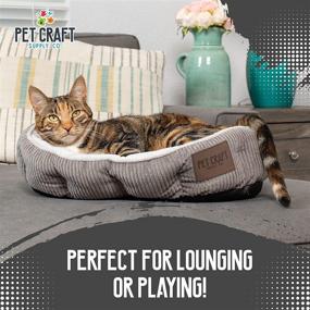 img 1 attached to Pet Craft Supply Cat Bed: Cozy Indoor Bed for Cats - Machine Washable, Ultra Soft, Self Warming - Refillable Catnip Pouch Included!