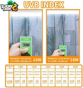 img 2 attached to 🦎 LuckyHerp 24-inch 18W T8 UVB 10.0 Reptile Light - UVA UVB Bulb, Fluorescent Lamp for Reptiles and Amphibians