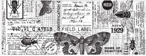 img 2 attached to 🦋 Tim Holtz Idea-Ology Collage Paper Rolls - Entomology, Botanical and Typeset - Bundle of Three Rolls: Unleash Your Creativity with Nature-inspired Designs!