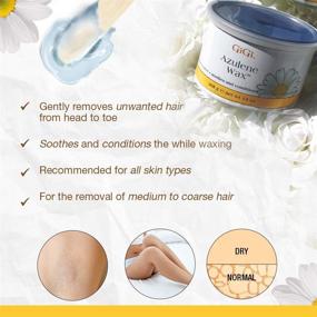 img 2 attached to 🌸 Gentle and Nourishing: GiGi Azulene Hair Removal Wax for Soft & Smooth Whole Body Results - 13 oz. 1-Pack