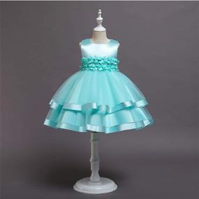 img 3 attached to 👧 Little Dragon Pig Girl Princess Tutu Dress: A-Line Flower Party Dresses for Holiday, Birthday, and Wedding Events