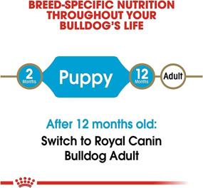 img 1 attached to 🐶 Bulldog Puppy Dry Dog Food by Royal Canin Breed Health Nutrition