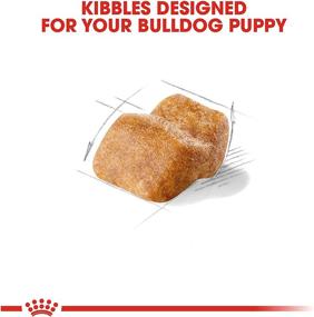 img 3 attached to 🐶 Bulldog Puppy Dry Dog Food by Royal Canin Breed Health Nutrition