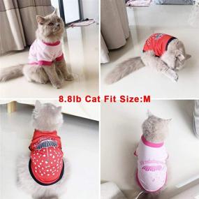 img 2 attached to 🐱 Small Dog & Cat Summer Clothes: 2Pcs Breathable Vest Outfit - Red & Pink