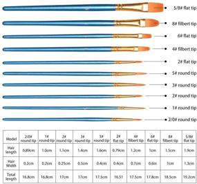 img 3 attached to 🖌️ Набор кистей для акриловых красок Fstaor 20 штук: идеальные кисти для акрилового, водяного, масляного живописи, рисования на лице, ногтей, модели, подробной работы и камнях-art.