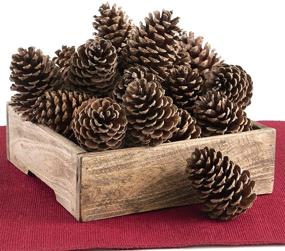 img 3 attached to 🌲 ANDALUCA Natural Pinecone Vase & Bowl Fillers: Ideal Decorative Pinecones for Home Decorating & Home Décor