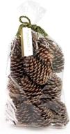 🌲 andaluca natural pinecone vase & bowl fillers: ideal decorative pinecones for home decorating & home décor logo
