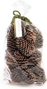 img 4 attached to 🌲 ANDALUCA Natural Pinecone Vase & Bowl Fillers: Ideal Decorative Pinecones for Home Decorating & Home Décor