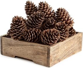 img 1 attached to 🌲 ANDALUCA Natural Pinecone Vase & Bowl Fillers: Ideal Decorative Pinecones for Home Decorating & Home Décor