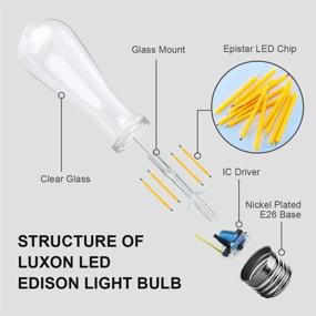 img 2 attached to 🐿️ Squirrel Filament Lighting - Dimmable LUXON