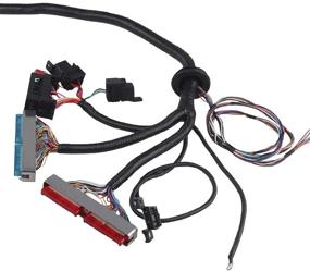 img 2 attached to 🔌 WMPHE Standalone Wiring Harness with 4L60E, Compatible with DBC LS1 4.8 5.3 6.0 97-06, ev1-Injector Plug and 3 Pin MAF - Professional Engine Wiring Harness