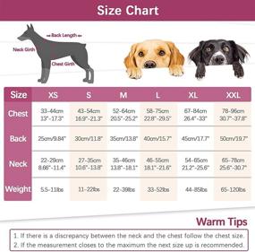 img 2 attached to 🐶 Kuoser Dog Life Jacket Vest with Shark Fin, Adjustable for Small, Medium, and Large Dogs, Safety High Visibility Pet Floatation Vest Life Preserver for Swimming and Boating, Pink