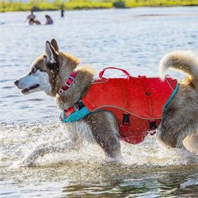 img 1 attached to Kurgo Surf n' Turf Dog Life Jacket: Premium Safety Float with Reflective Design, Adjustable Fit, and Two Control Handles for Small, Medium, Large Pets